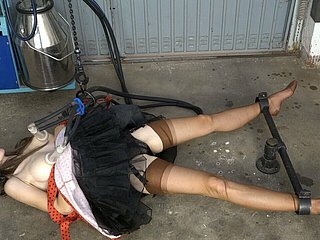 Доильные сиськи в нейлонах