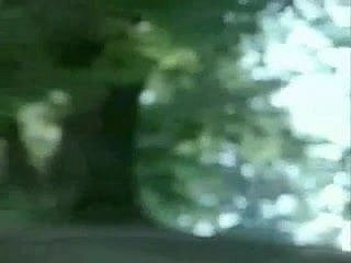 Classico italiano (French Dub)