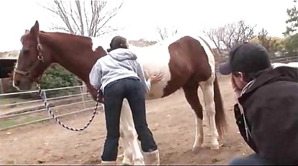 Cow Girls First Time Anal